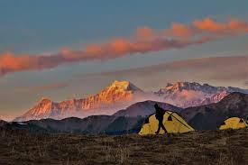 Yellow trekking tents on a high meadow at sunrise with alpenglow on snow-capped Himalayan peaks
