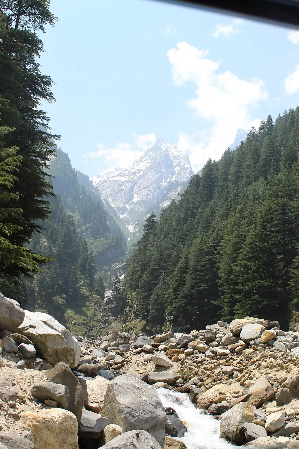Snow peak above the deodar forest