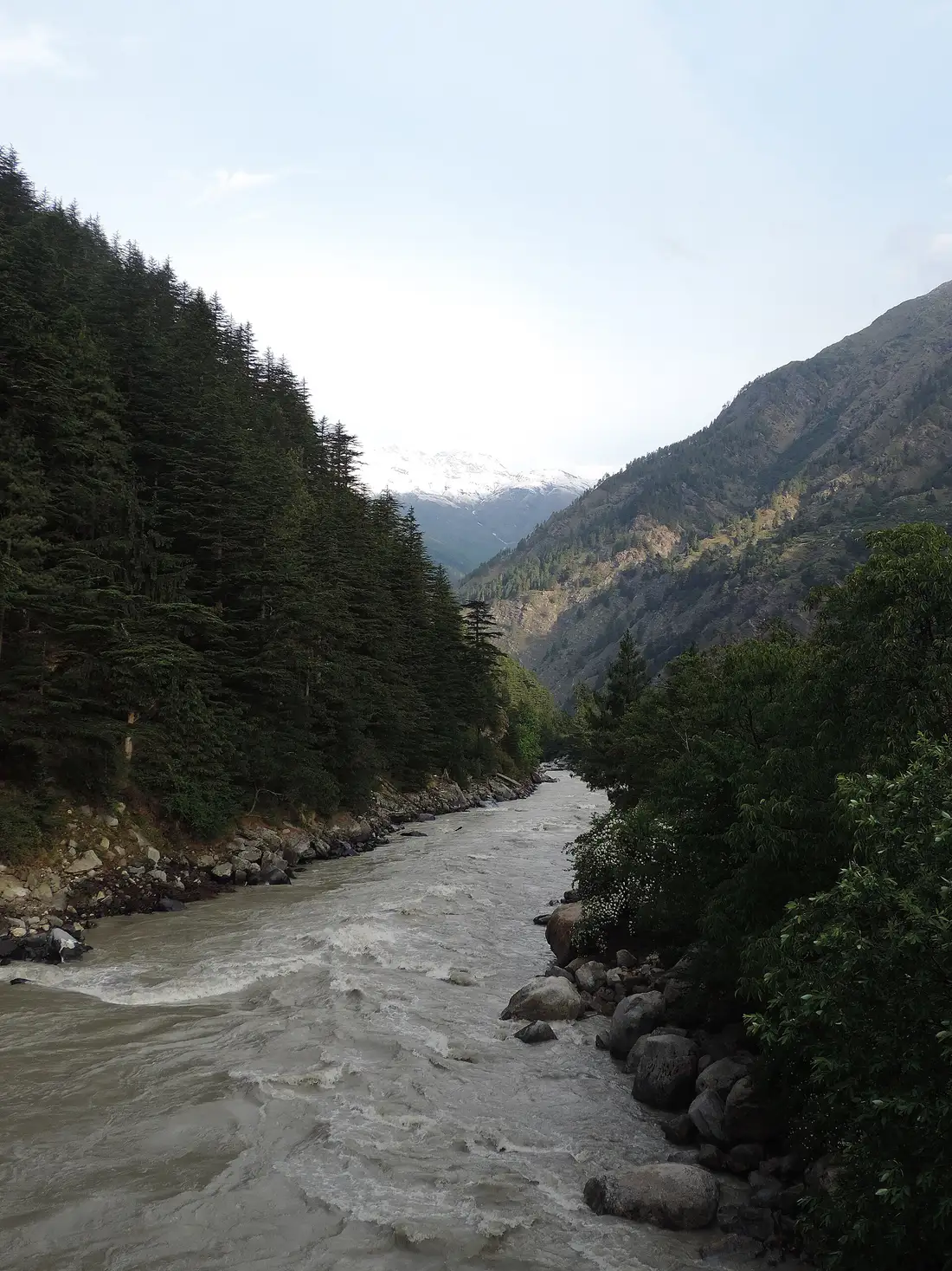 The Bhagirathi flowing through the deodar valley