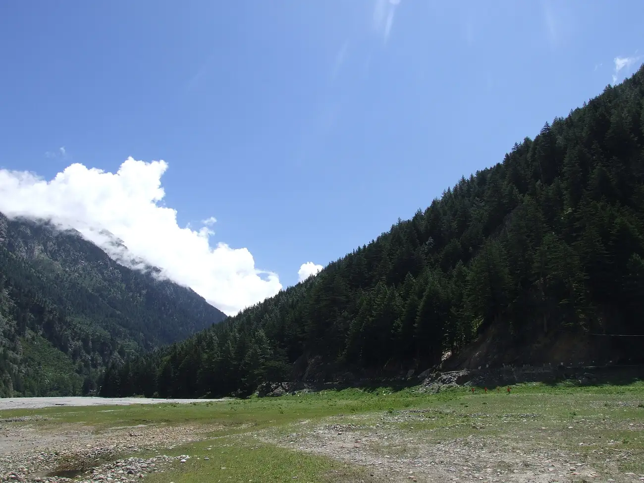 Deodar forests and Himalayan slopes around Harsil