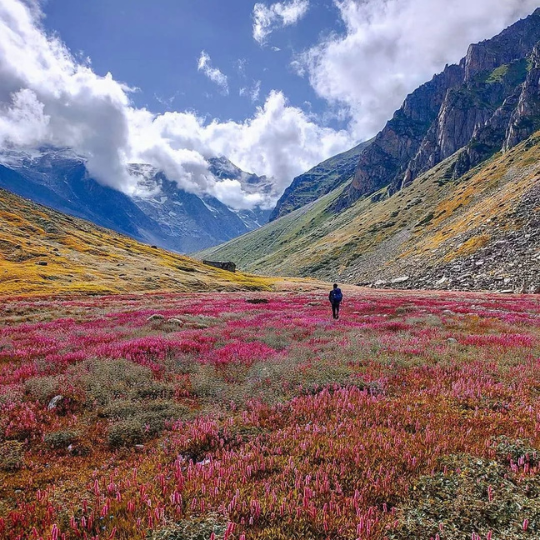 Lush meadows and hills on the trek toward Lower Kyarkoti camp