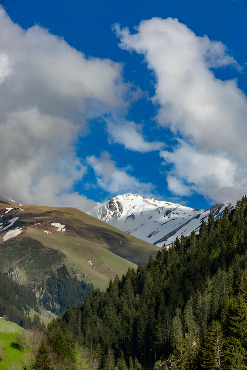 Dayara Bugyal, Uttarkashi, Uttarakhand.